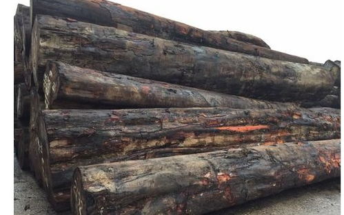 地友品牌木方 德国鼓励建筑业更多使用木材